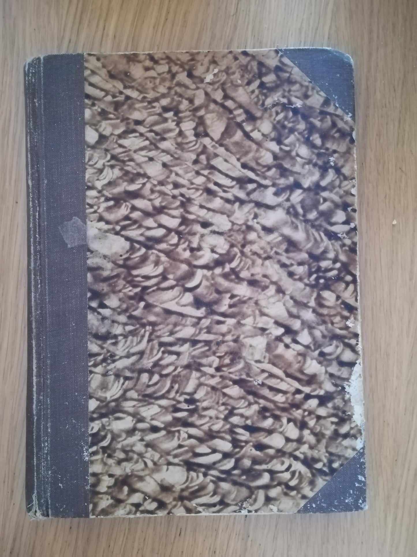 Elasticità e resistenza dei materiali - copertina