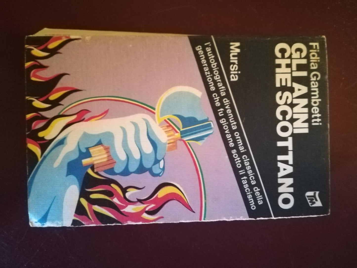 Gli anni che scottano - copertina