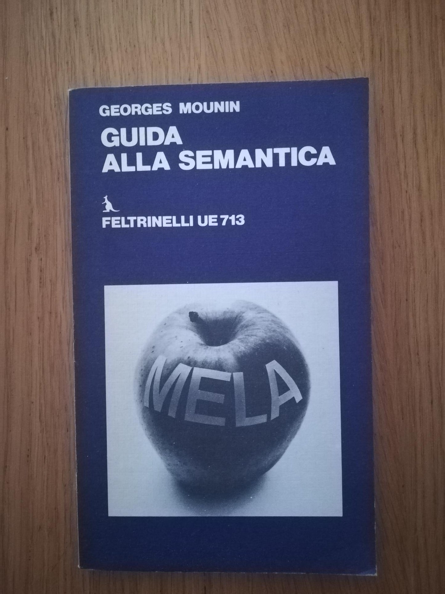 Guida alla semantica - copertina