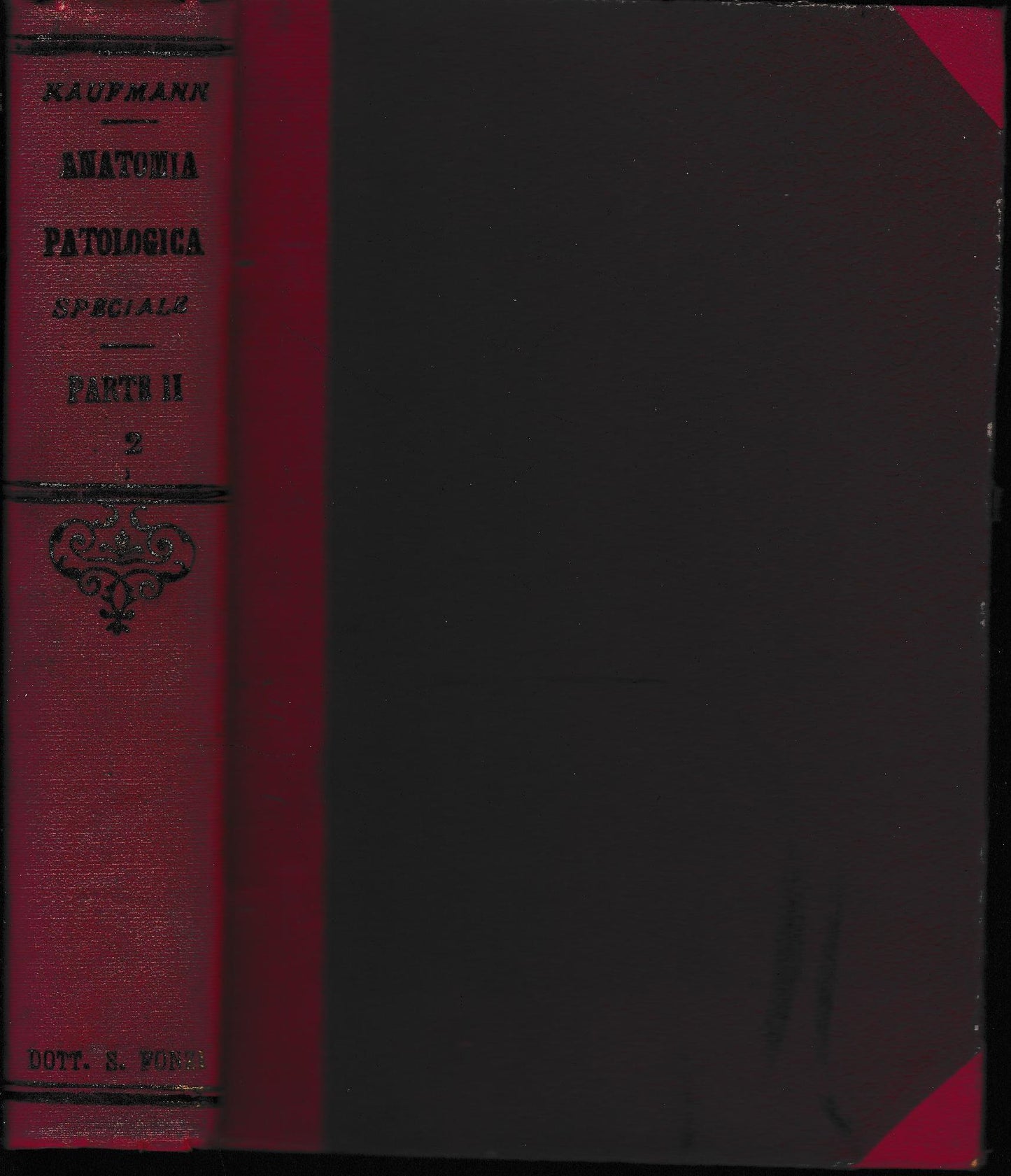 Anatomia patologica speciale, parte II, tomo 2. Malattie delle Meningi - copertina