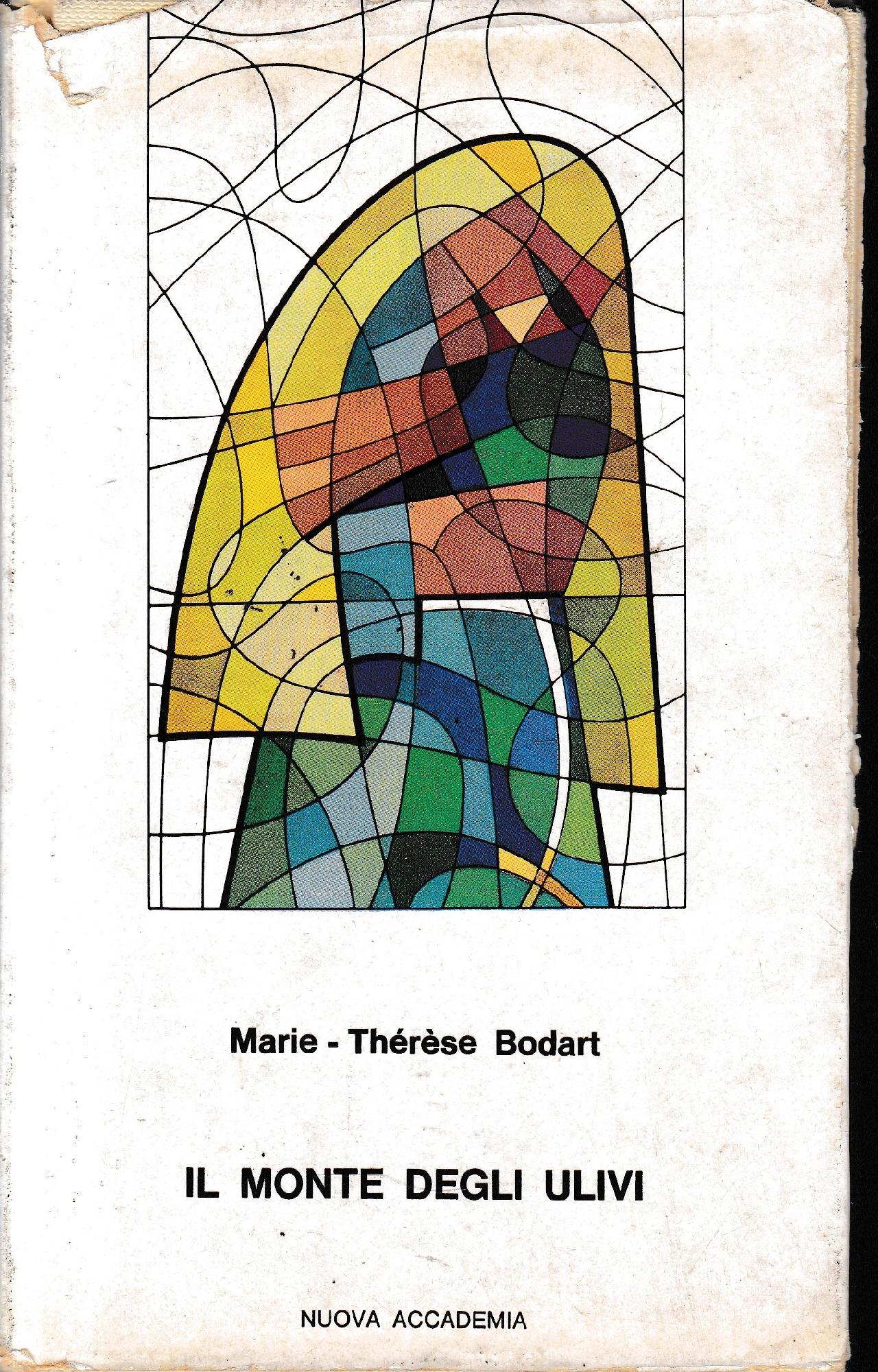 Il Monte degli Ulivi - copertina