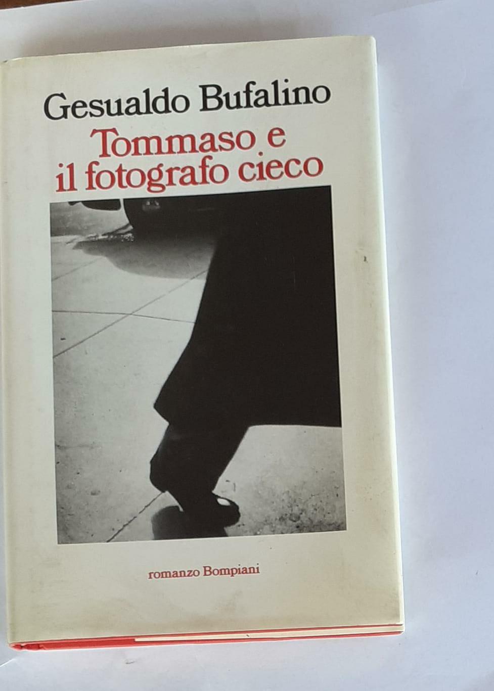 Tommaso e il fotografo cieco, ovvero Il patatrac - copertina