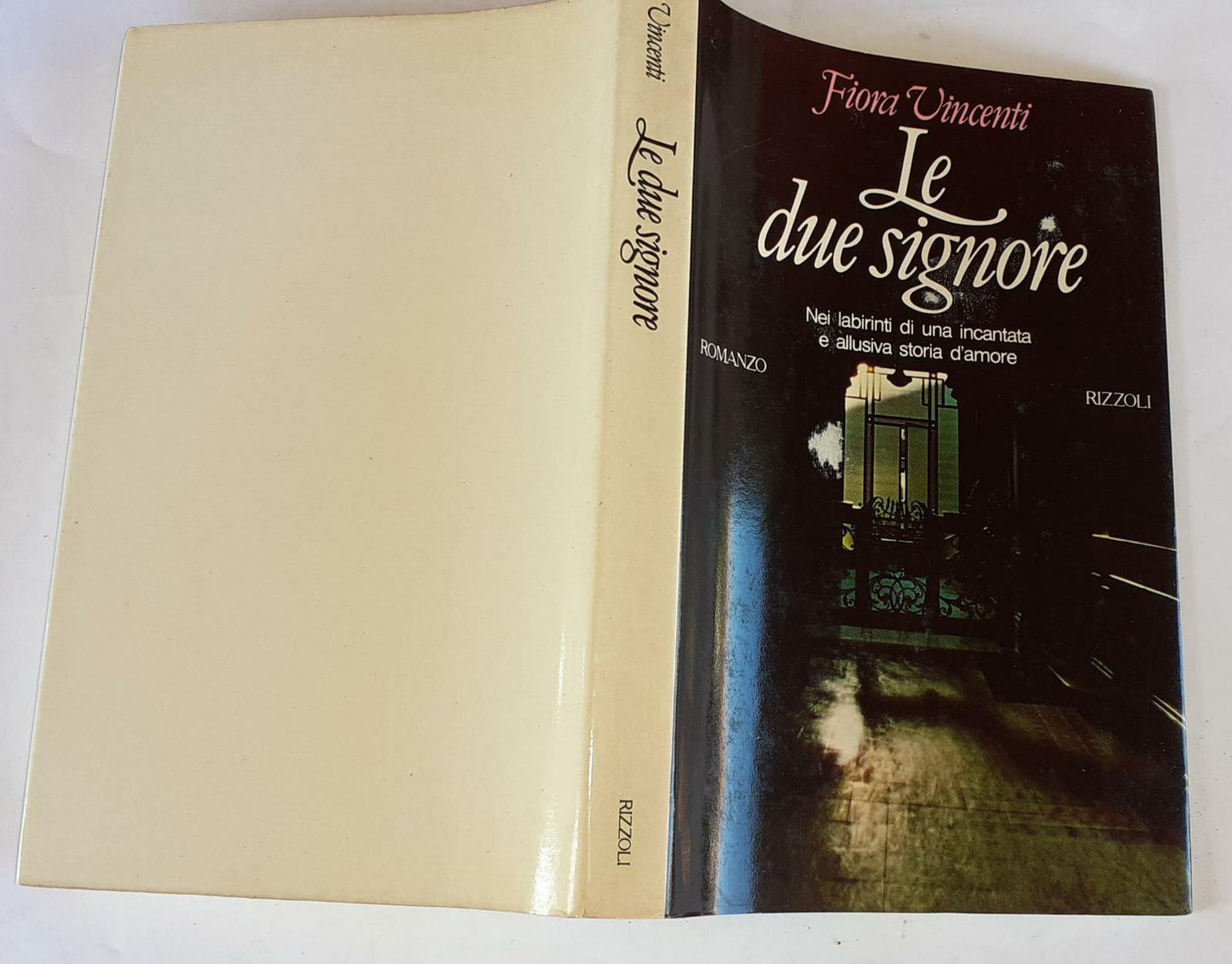 Le due signore. Nei labirinti di una incantata e allusiva storia d'amore - copertina