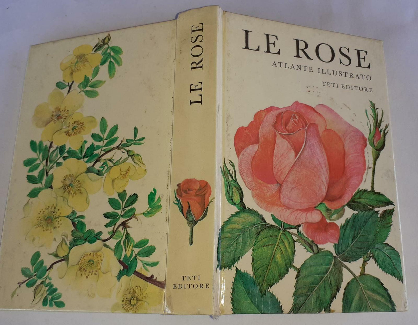Le rose Atlante illustrato - copertina