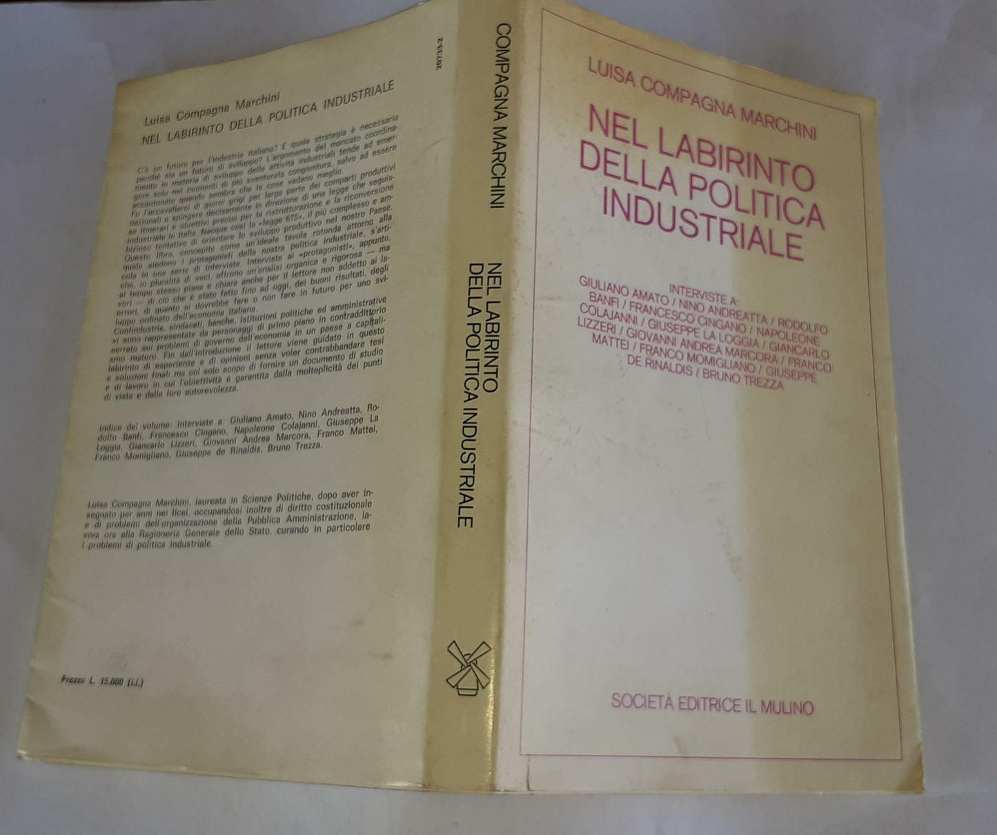 Nel labirinto della politica industriale - copertina