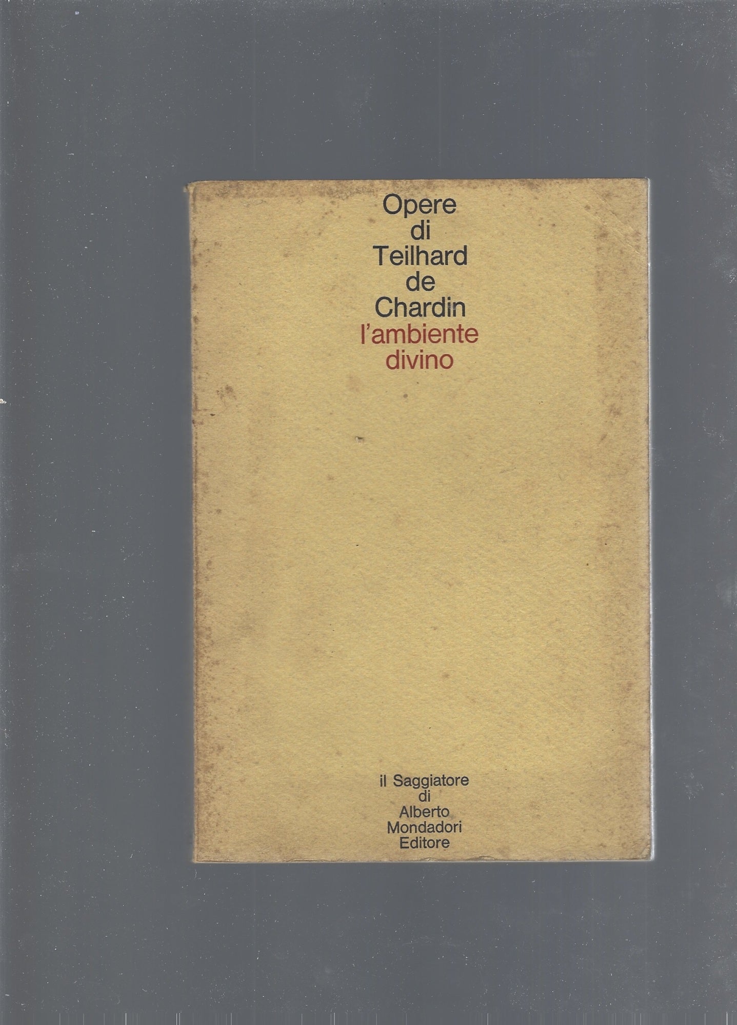 L'ambiente divino - copertina