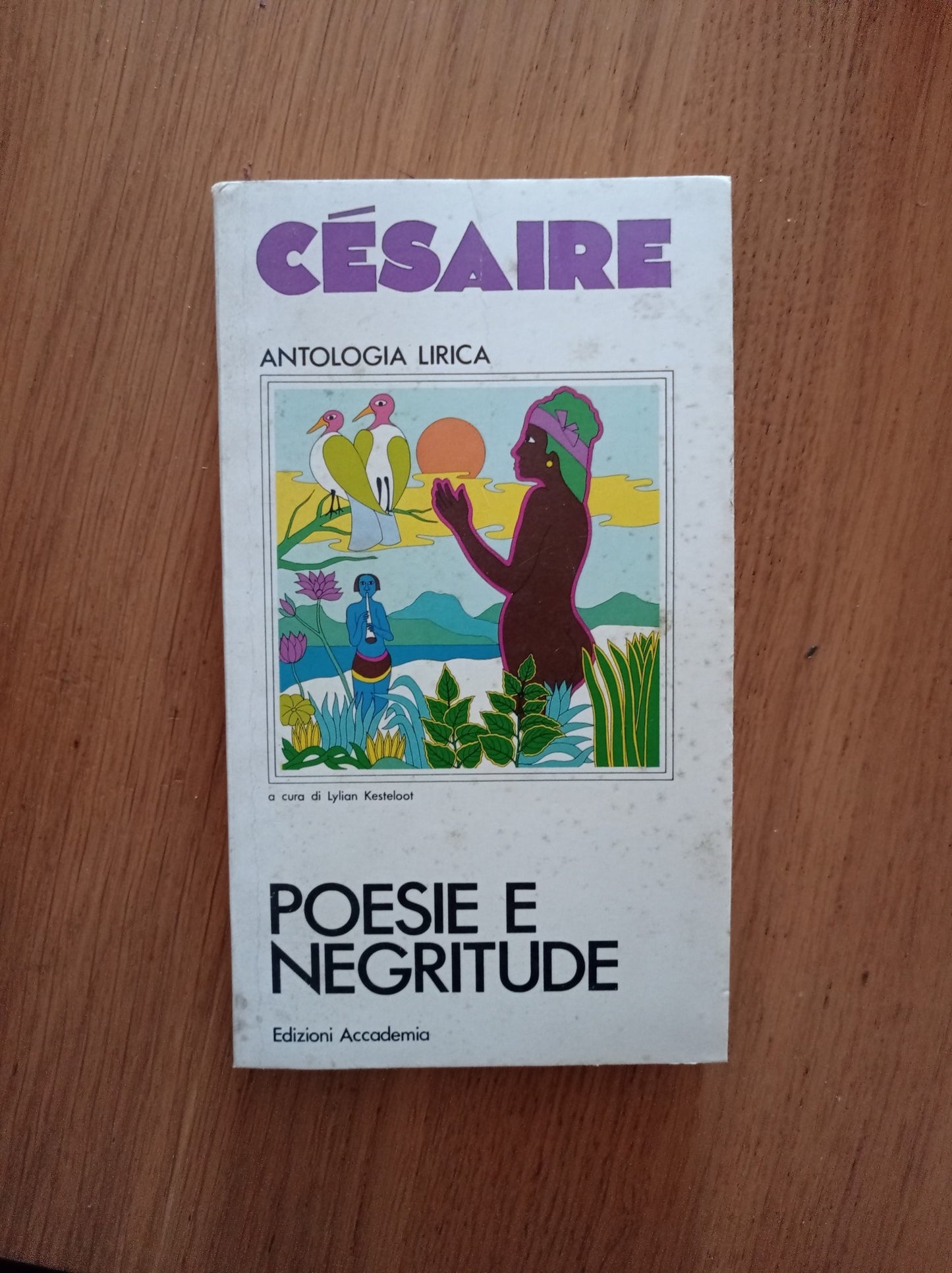 Poesie e negritude - copertina