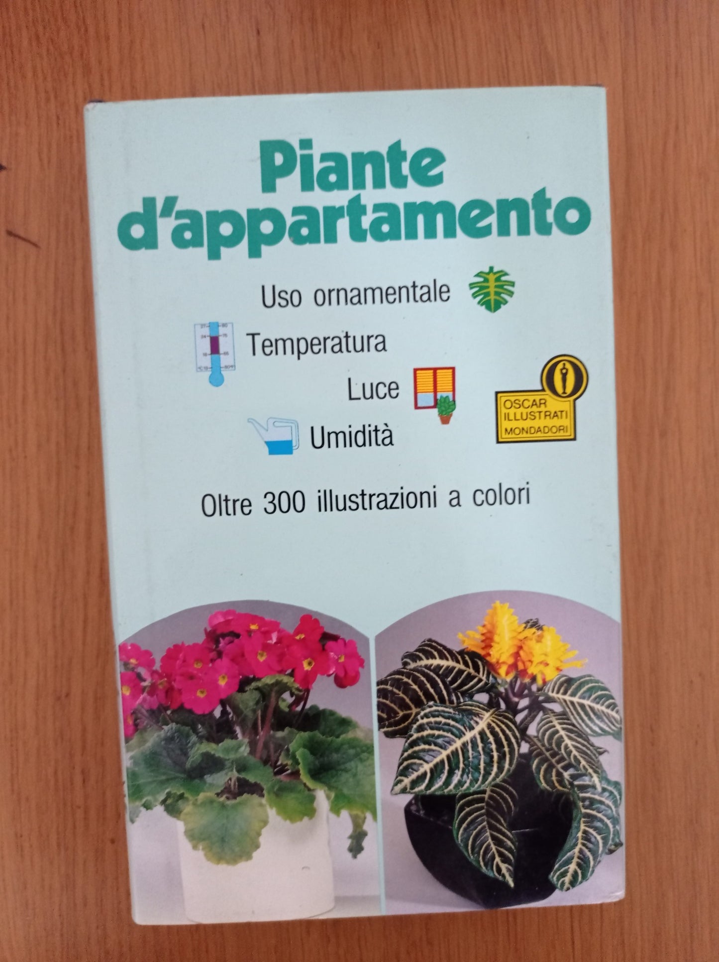 Piante d\'appartamento - copertina