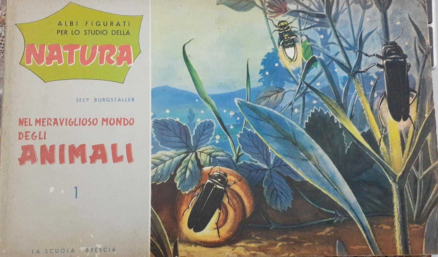 Albi figurati per lo studio della natura. Nel meraviglioso mondo degli animali . 1 - copertina