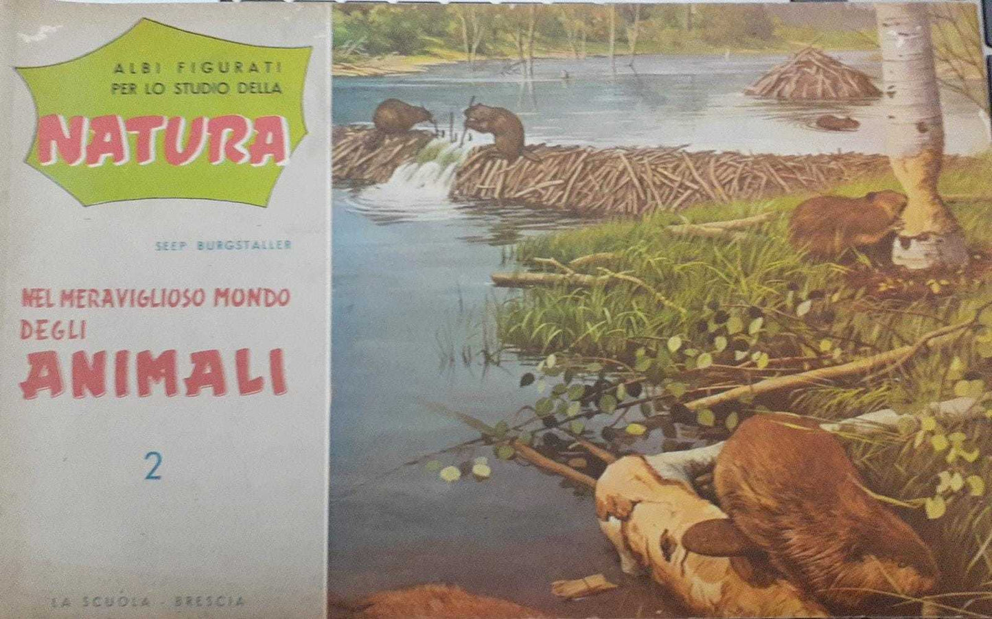 Albi figurati per lo studio della natura. Nel meraviglioso mondo degli animali. 2 - copertina