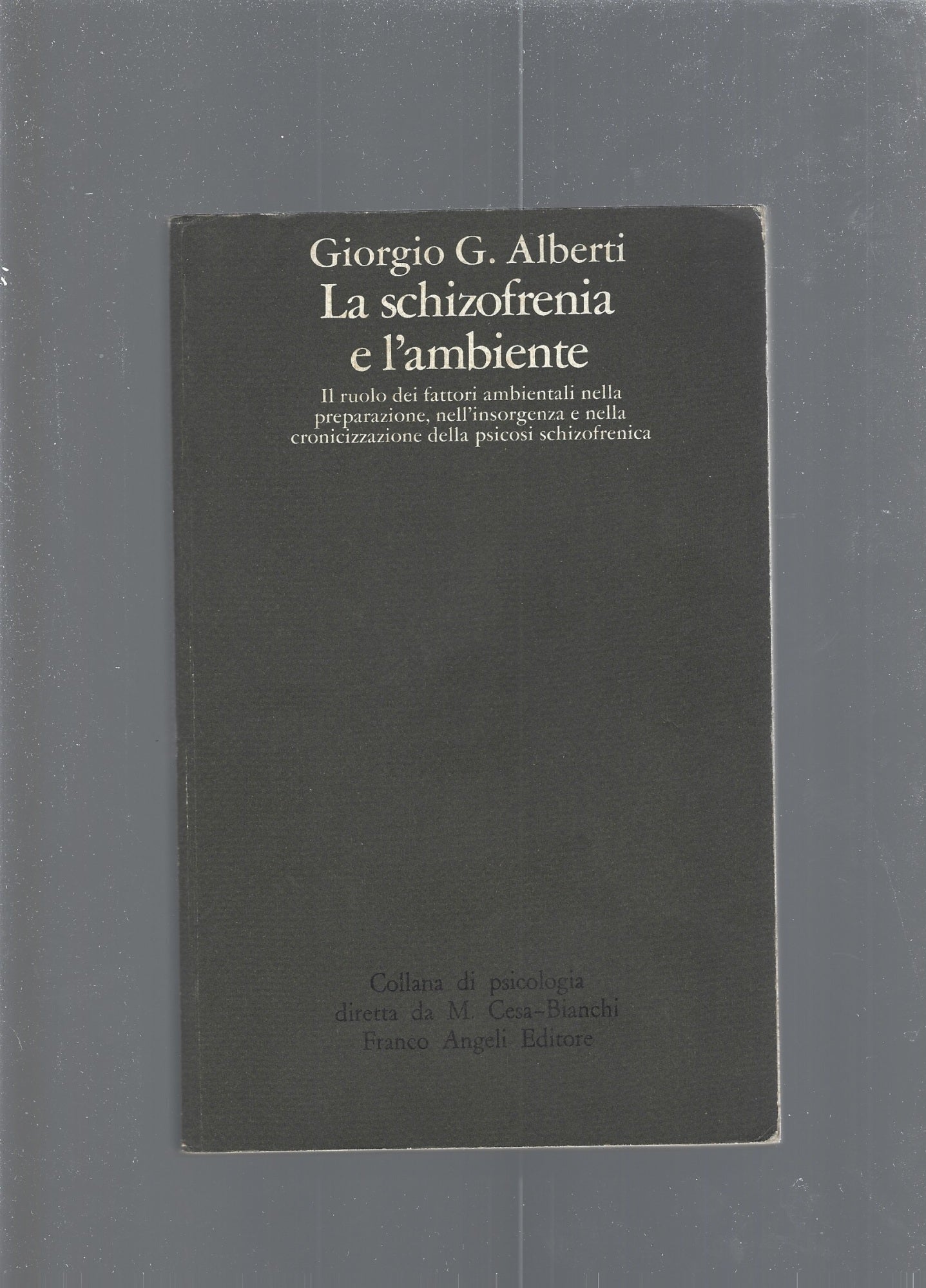 La schizofrenia e l'ambiente - copertina