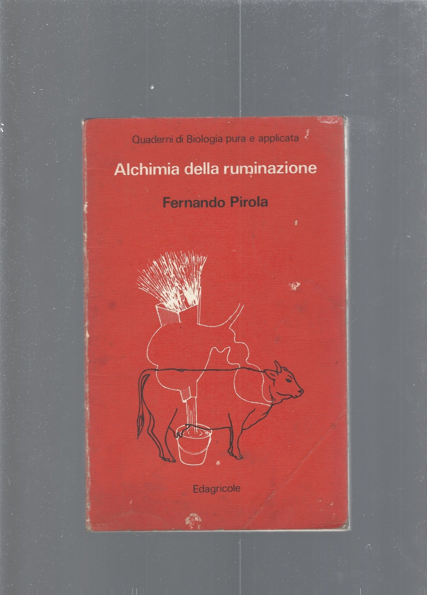Alchimia della ruminazione - copertina
