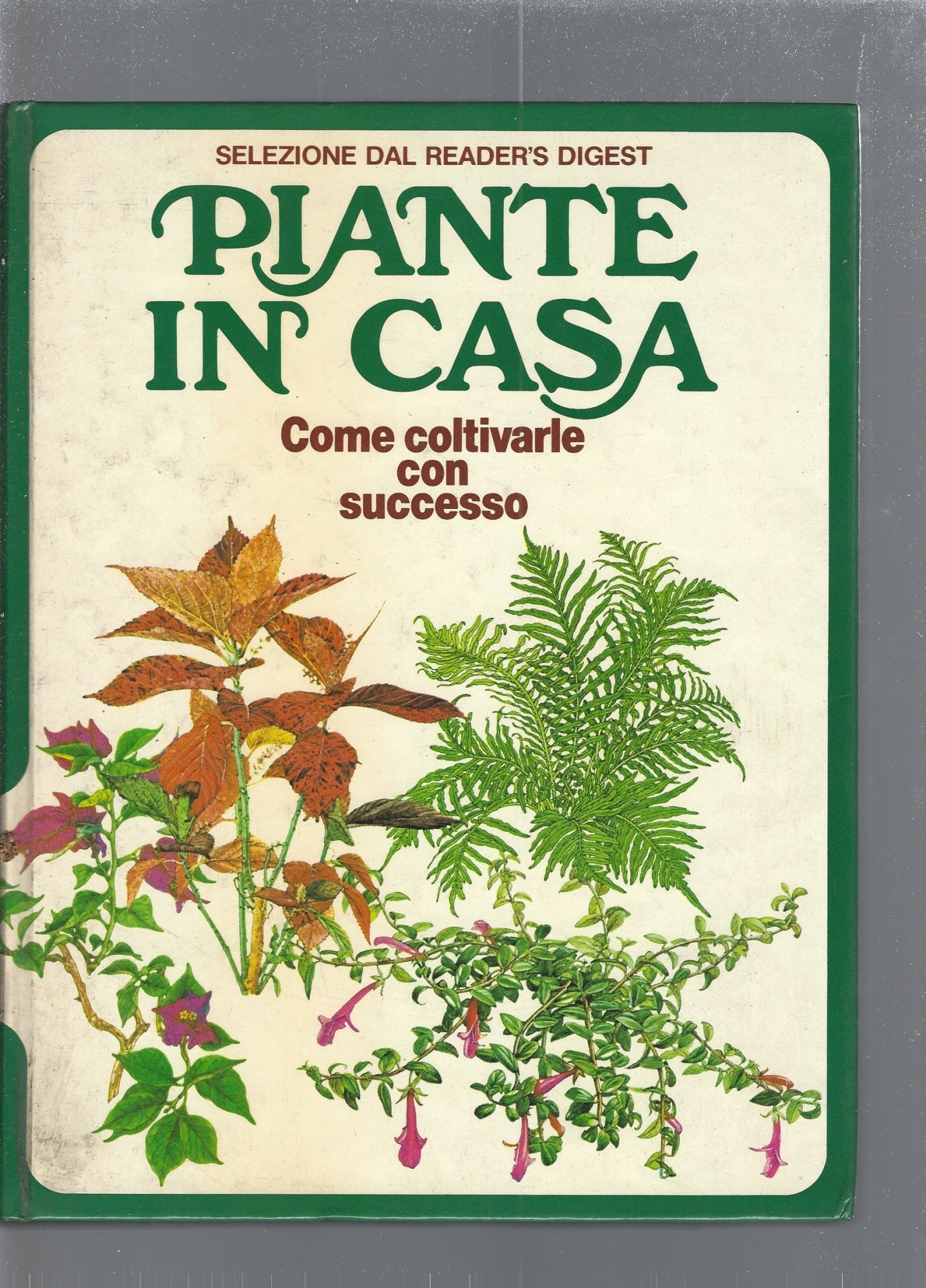 Piante in casa - copertina