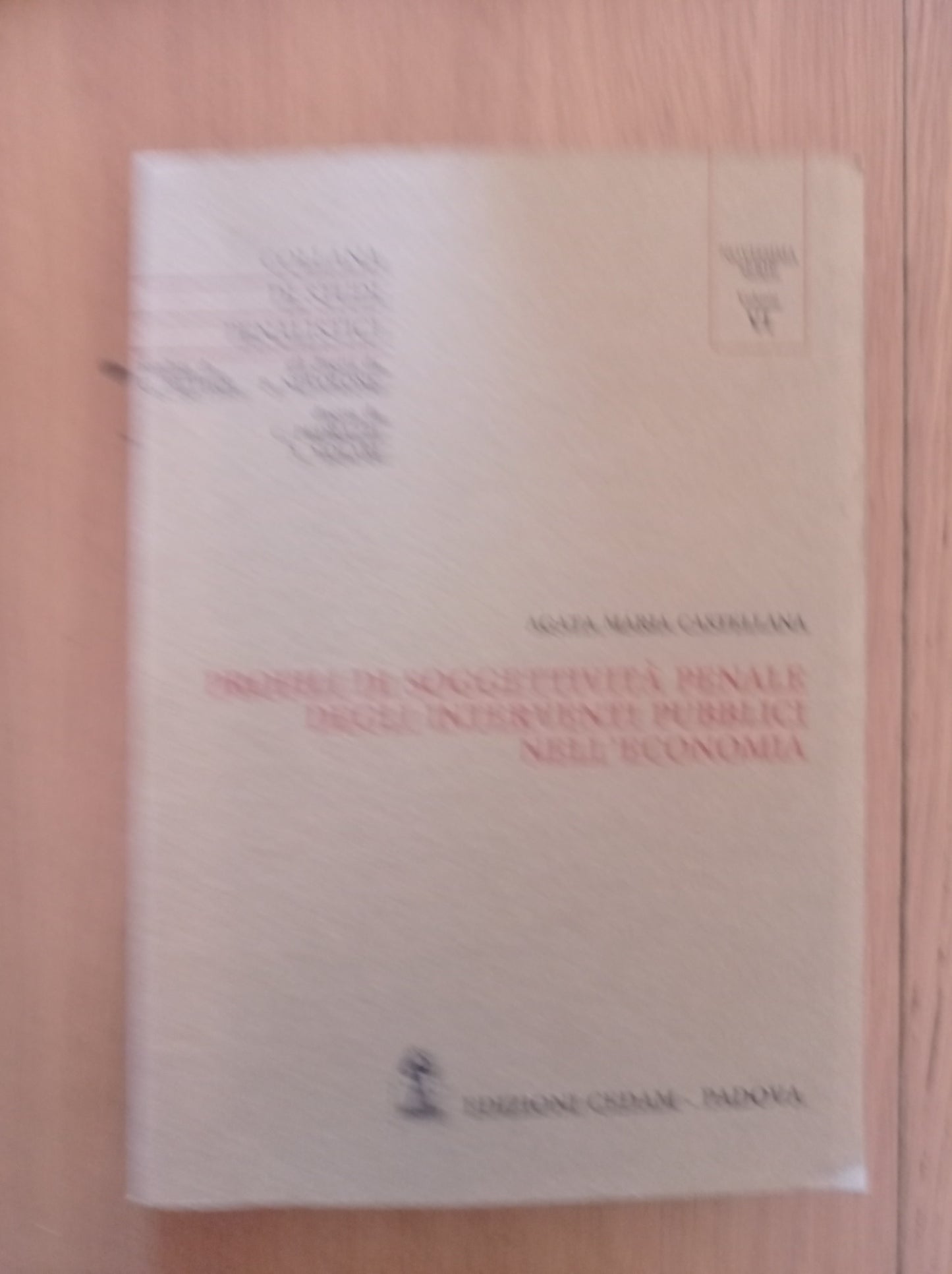 Profili di soggettività penale degli interventi pubblici nell'economia - copertina