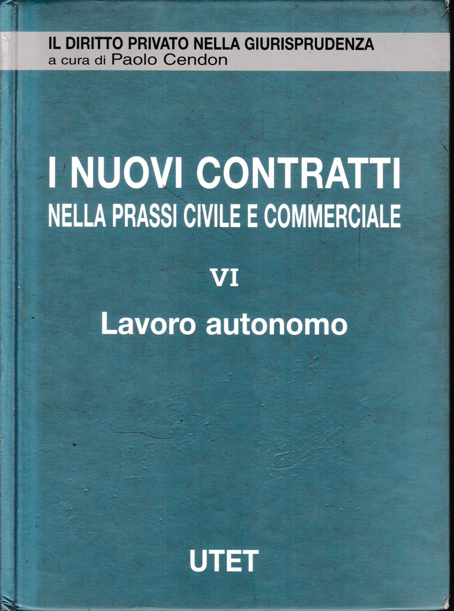 I nuovi contratti nella prassi civile e commerciale. Lavoro autonomo (Vol. 6) - copertina