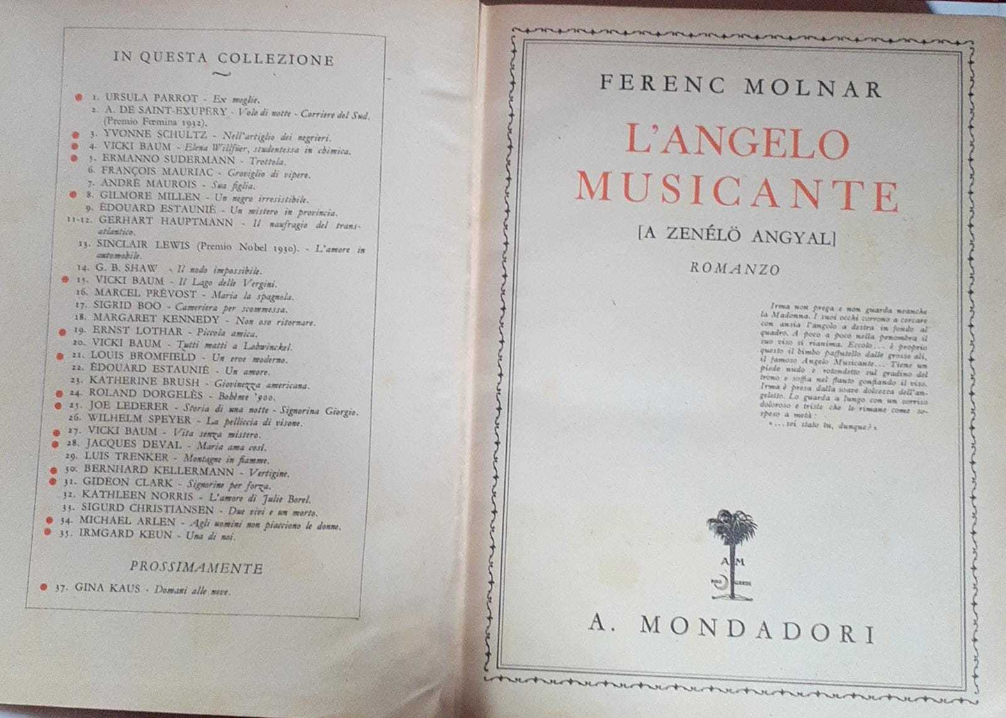 L' angelo musicante (A Zenelo Angyal) - copertina