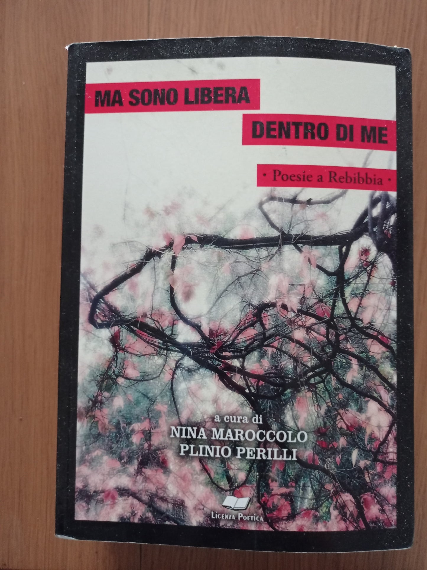 Ma sono libera dentro di me : poesie a Rebibbia 2014-2015 - copertina