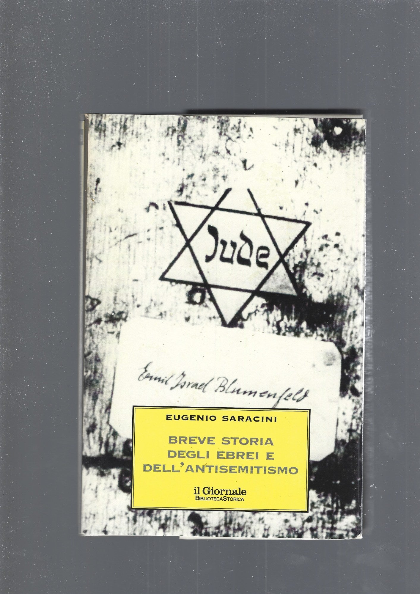 BRAVE STORIA DEGLI EBREI E DELL' ANTISEMITISMO - copertina