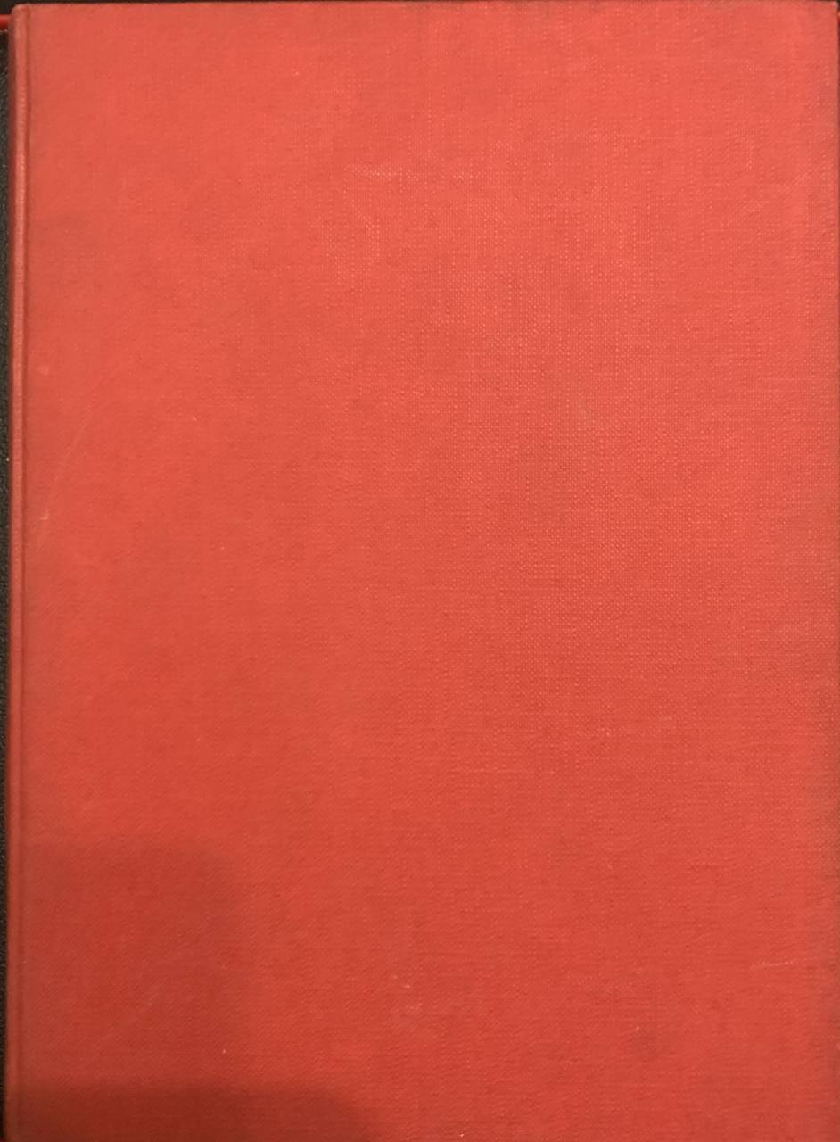 Il castello incantato - copertina