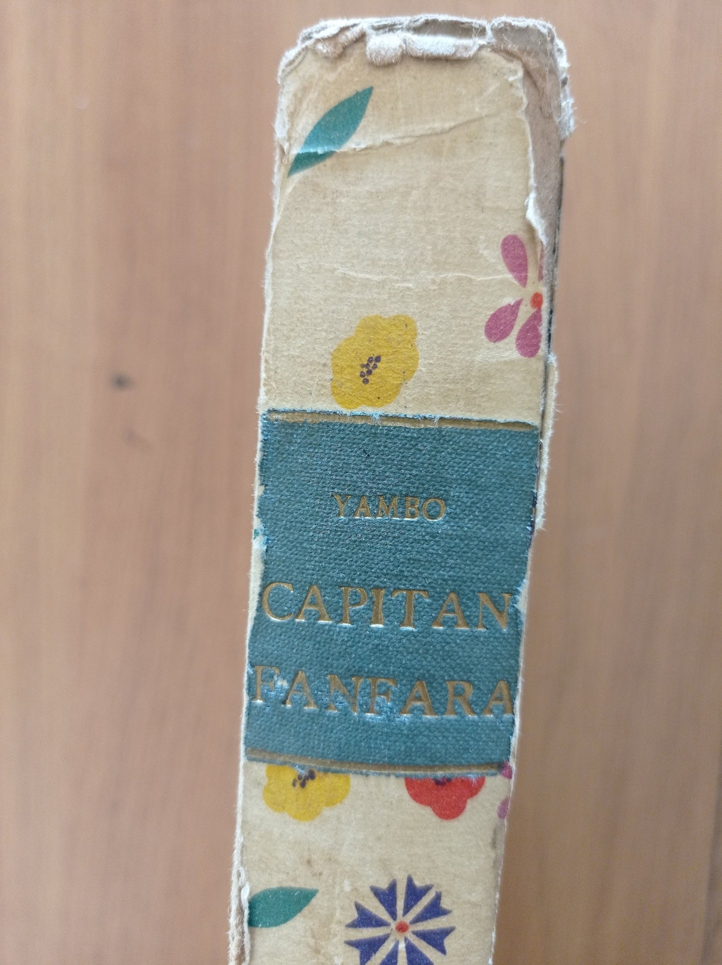 Capitan Fanfara: il giro del mondo in automobile - copertina