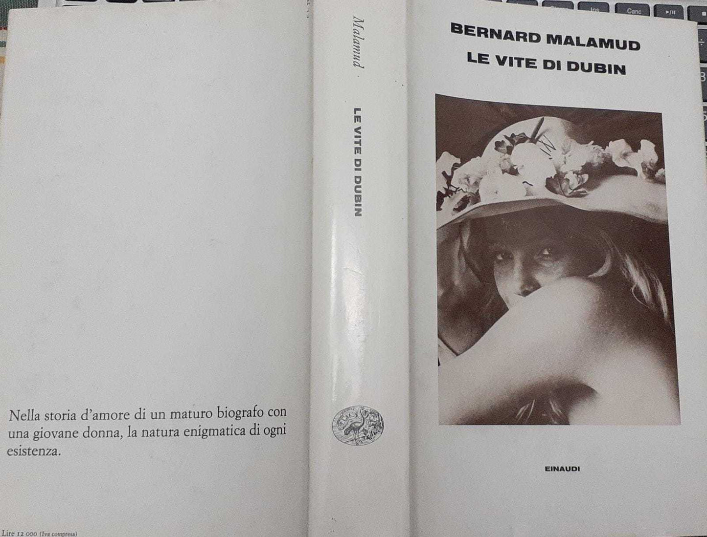 Le vite di Dubin - copertina