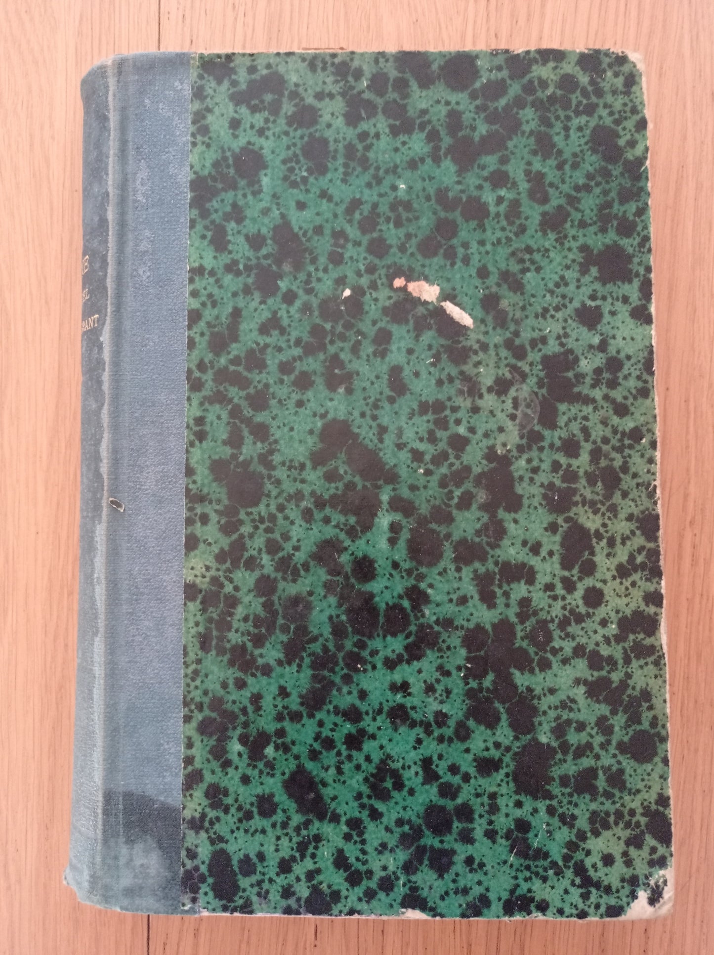 I figli del Capitano Grant - copertina