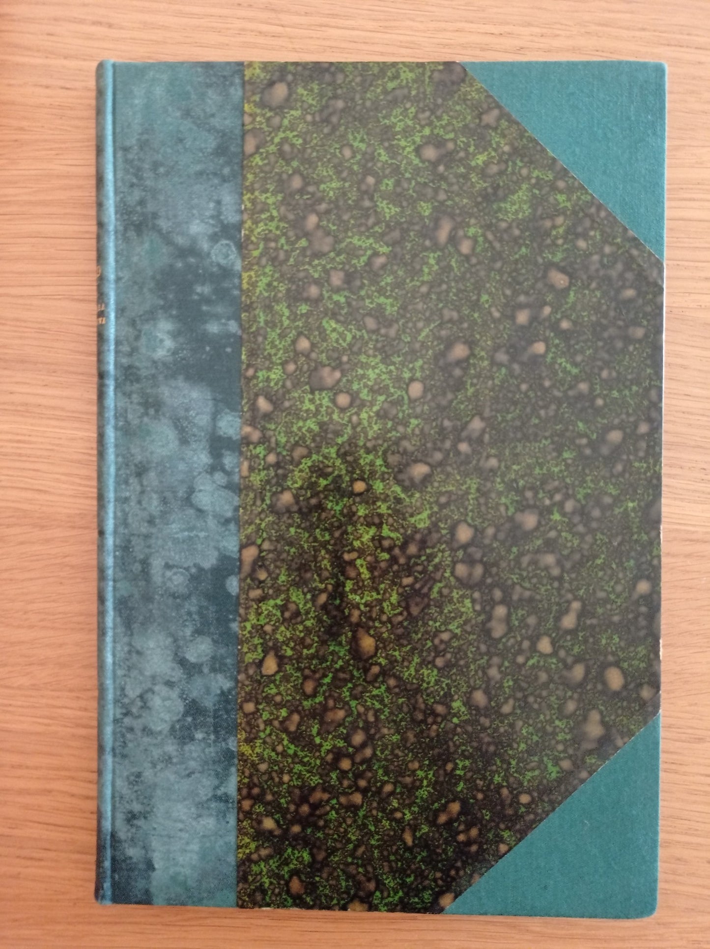 Avventure di terra e mare: La sorella perduta - copertina