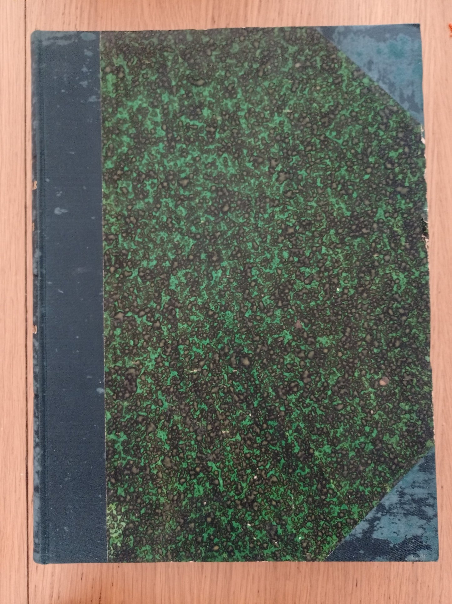 Giornale illustrato dei viaggi e delle avventure di terra e di mare Vol. II - copertina