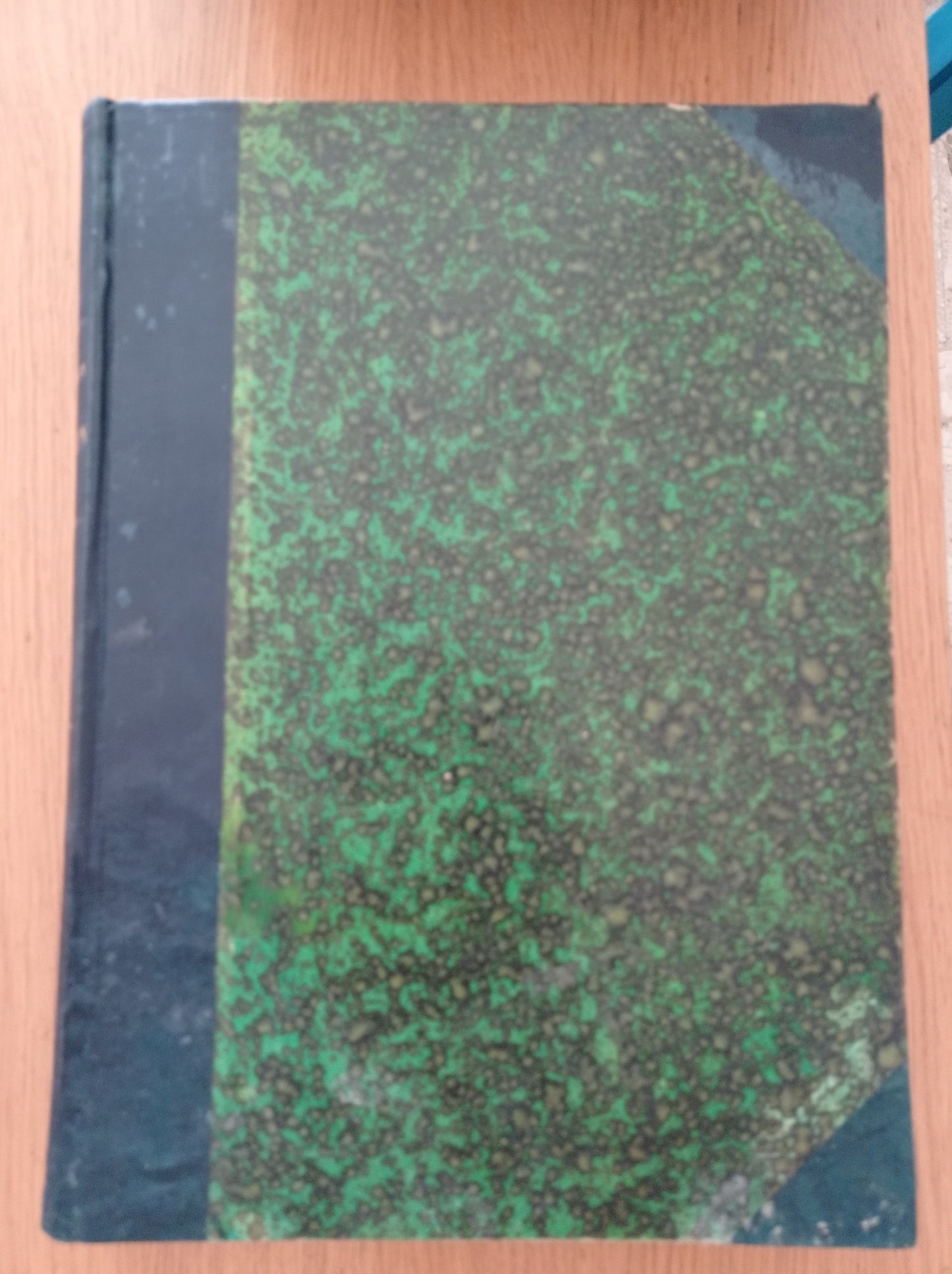 FANCHON la Suonatrice di Ghironda - copertina