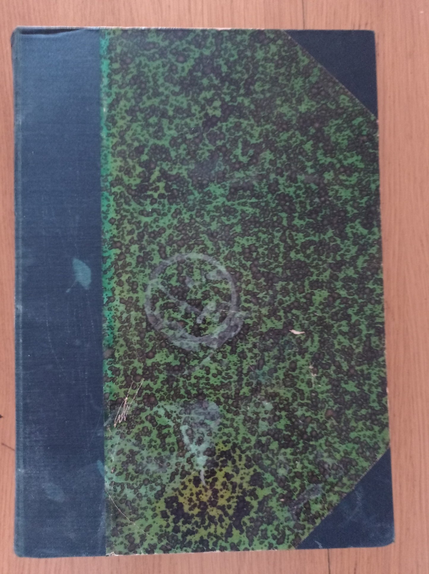 Giuseppe Balsamo romanzo storico - copertina