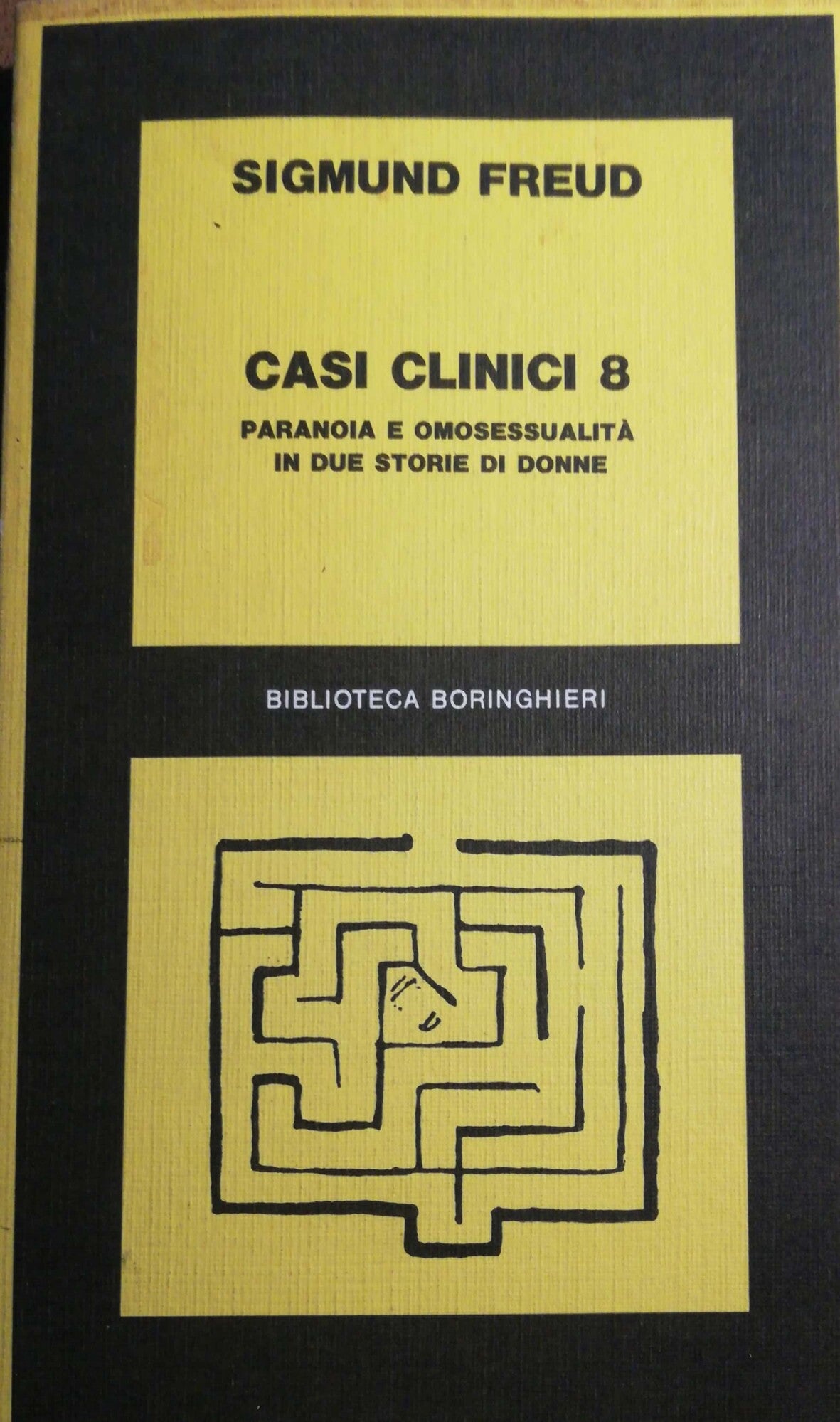 Casi clinici 8 , paranoia e omosessualità in due storie di donne - copertina