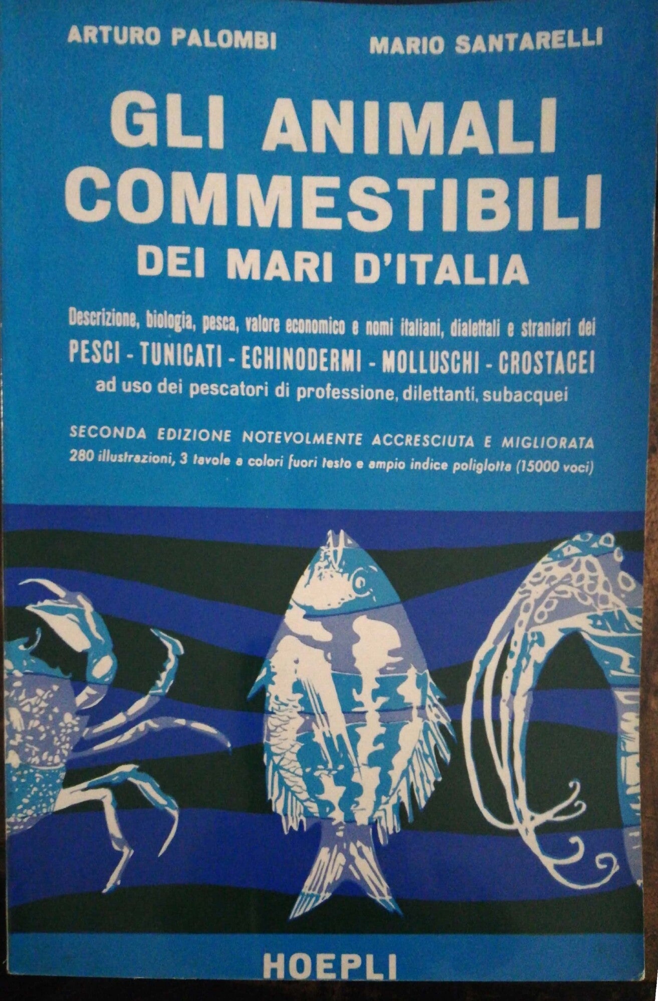 Gli animali commestibili dei mari d'Italia - copertina