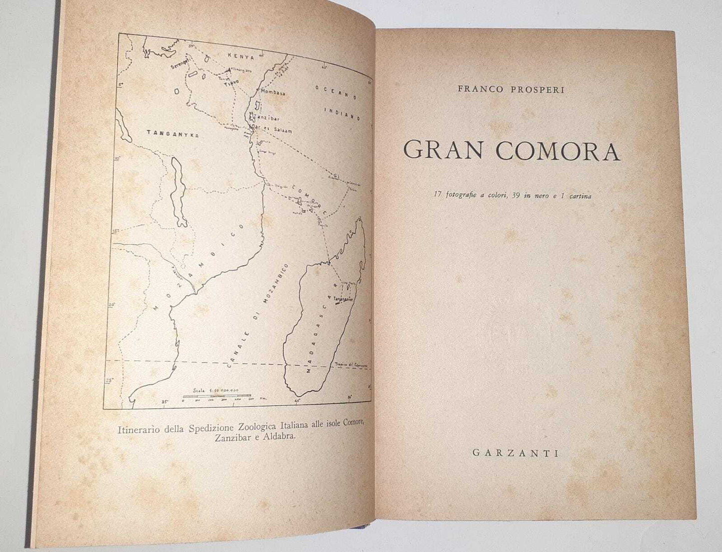 Gran comora - copertina