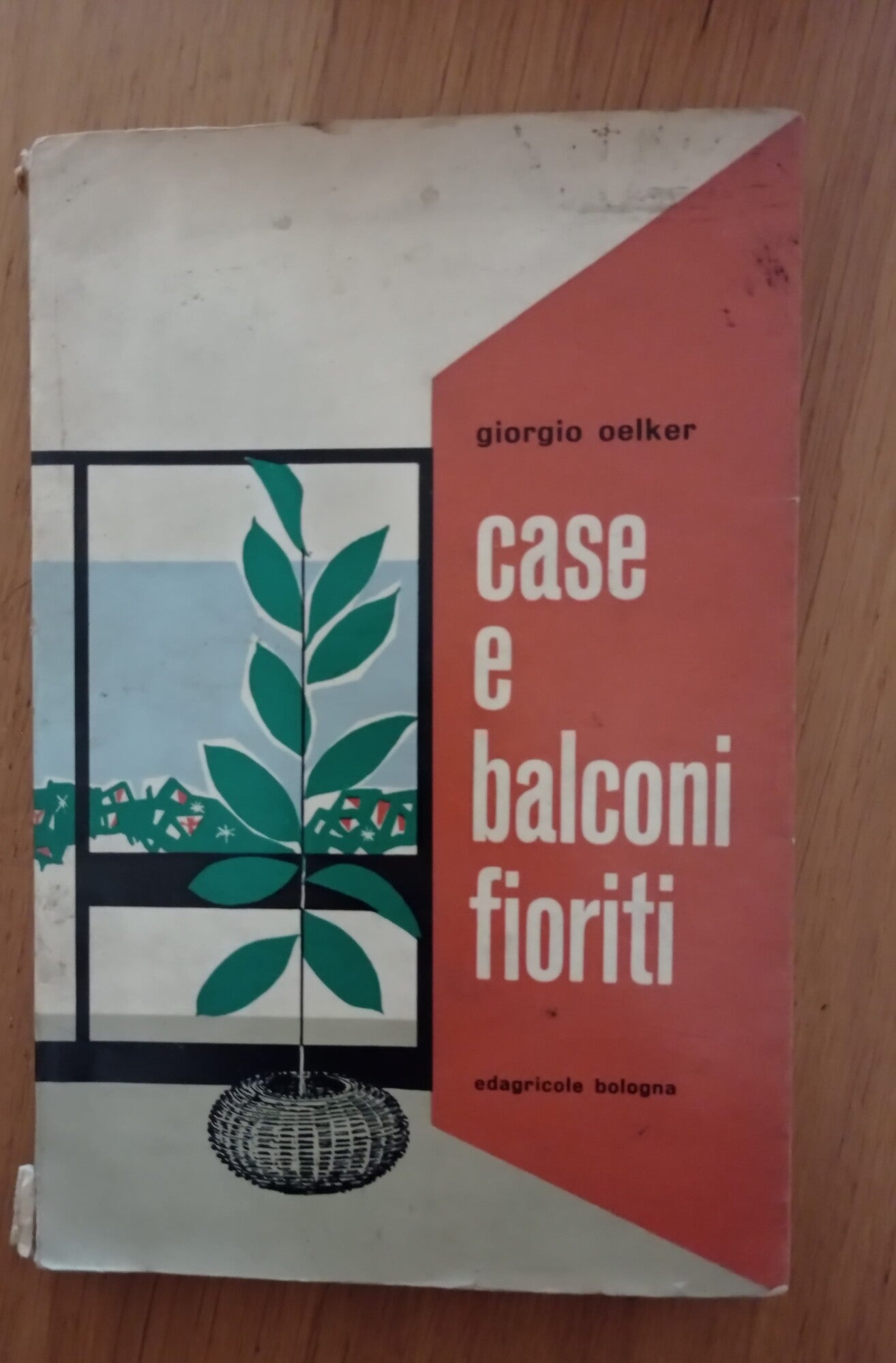 Case e balconi fioriti - copertina