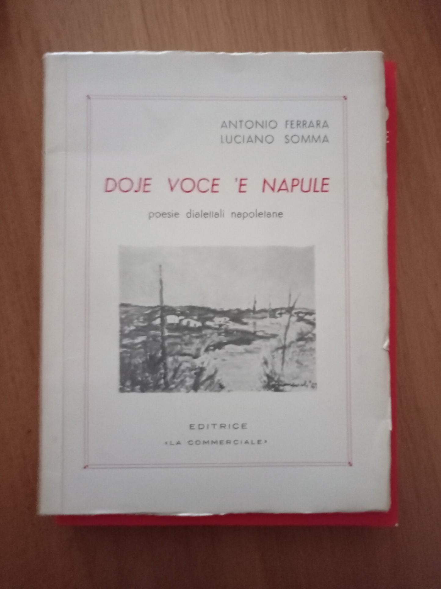 Doje voce 'e Napule - copertina