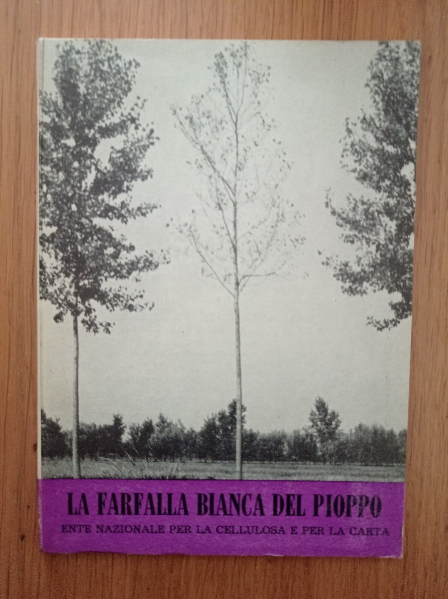 La farfalla bianca del pioppo - copertina