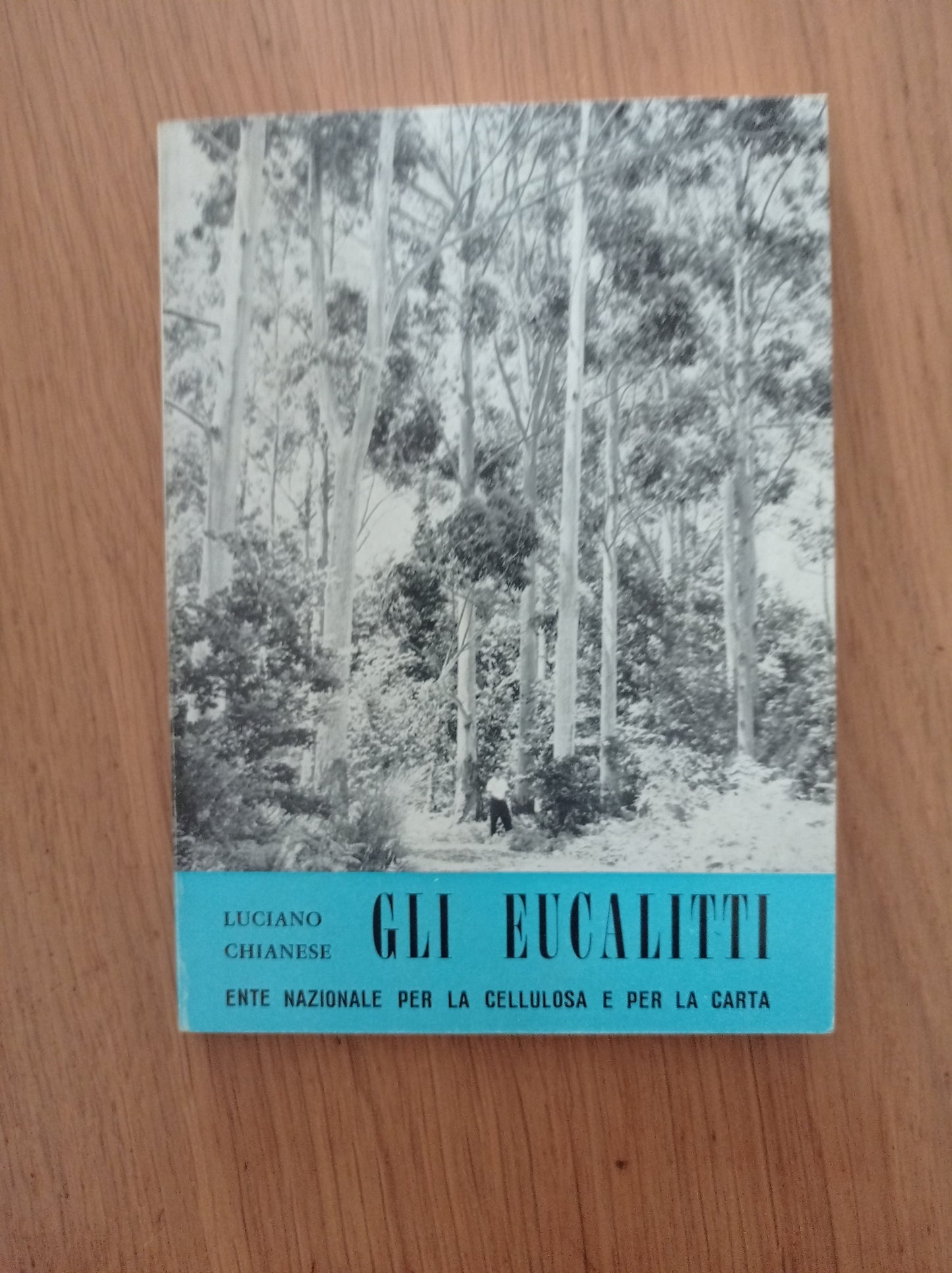 Gli eucalipti - copertina