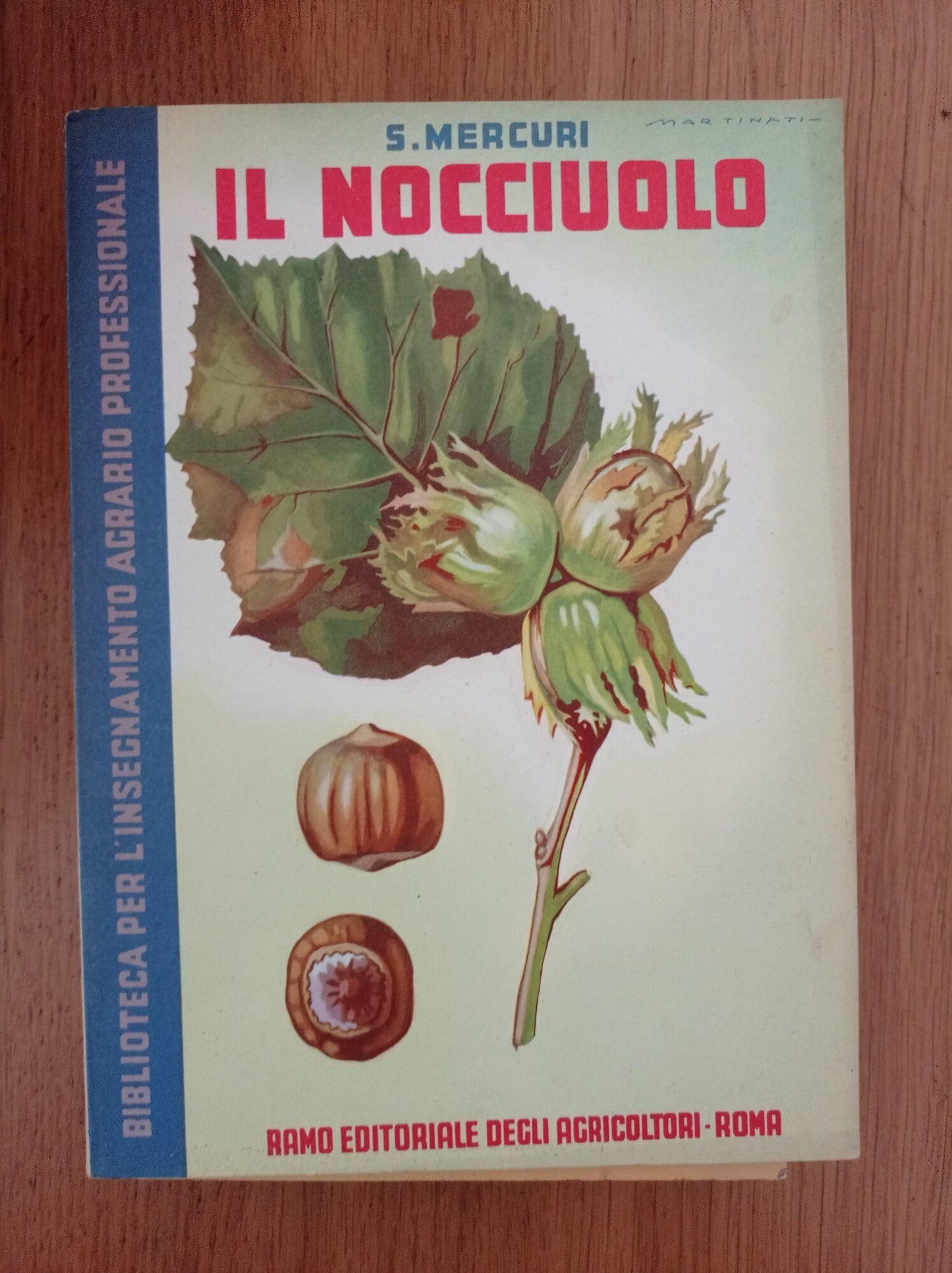 Il nocciuolo - copertina