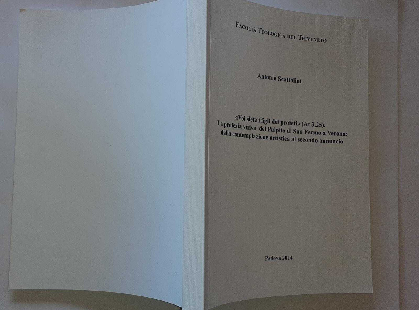 Voi siete i figli dei profeti La profezia visiva del Pulpito di San Fermo a Verona: dalla contemplazione artistica al secondo annuncio - copertina