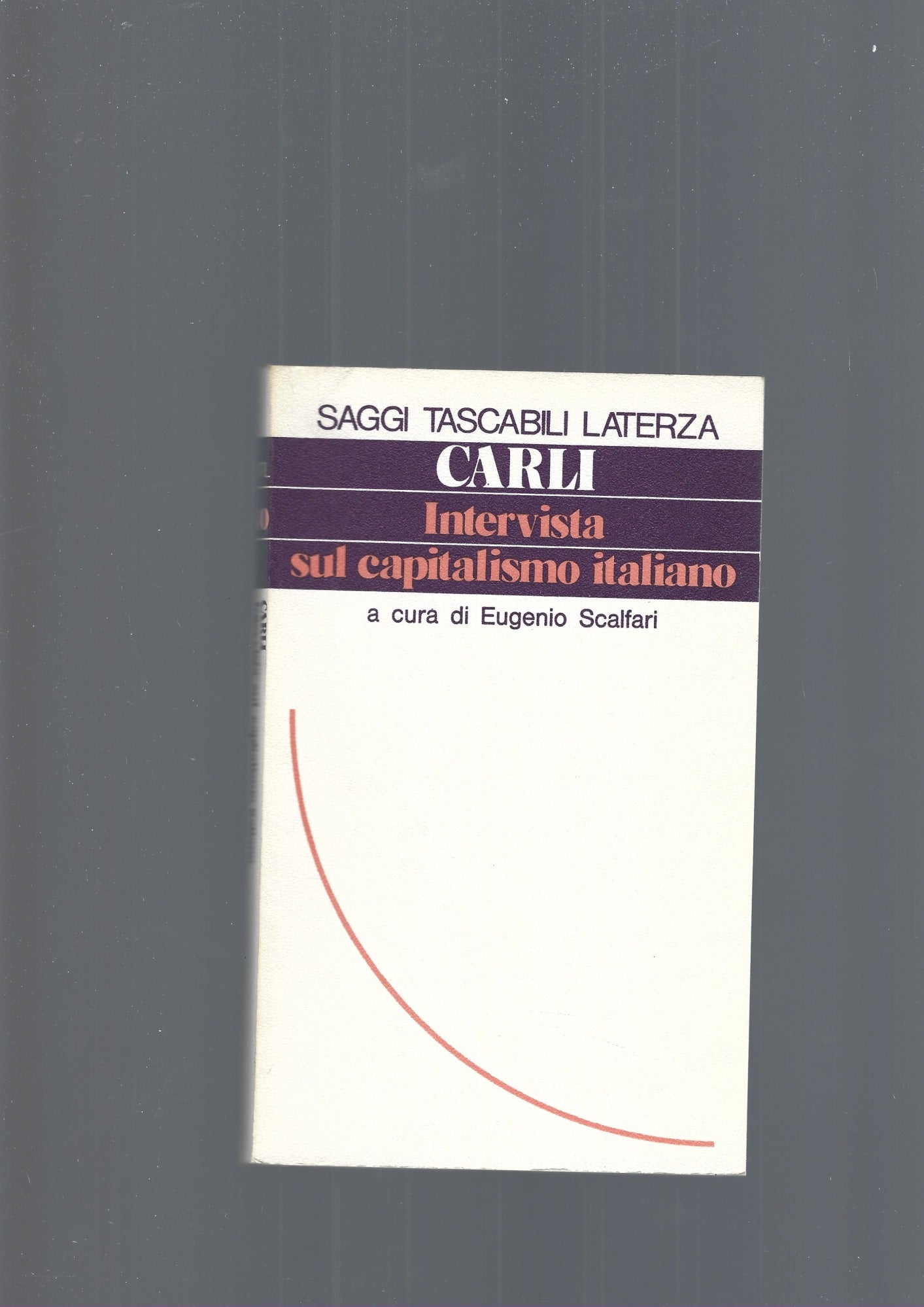 INTERVISTA SUL CAPITALISMO ITALIANO - copertina