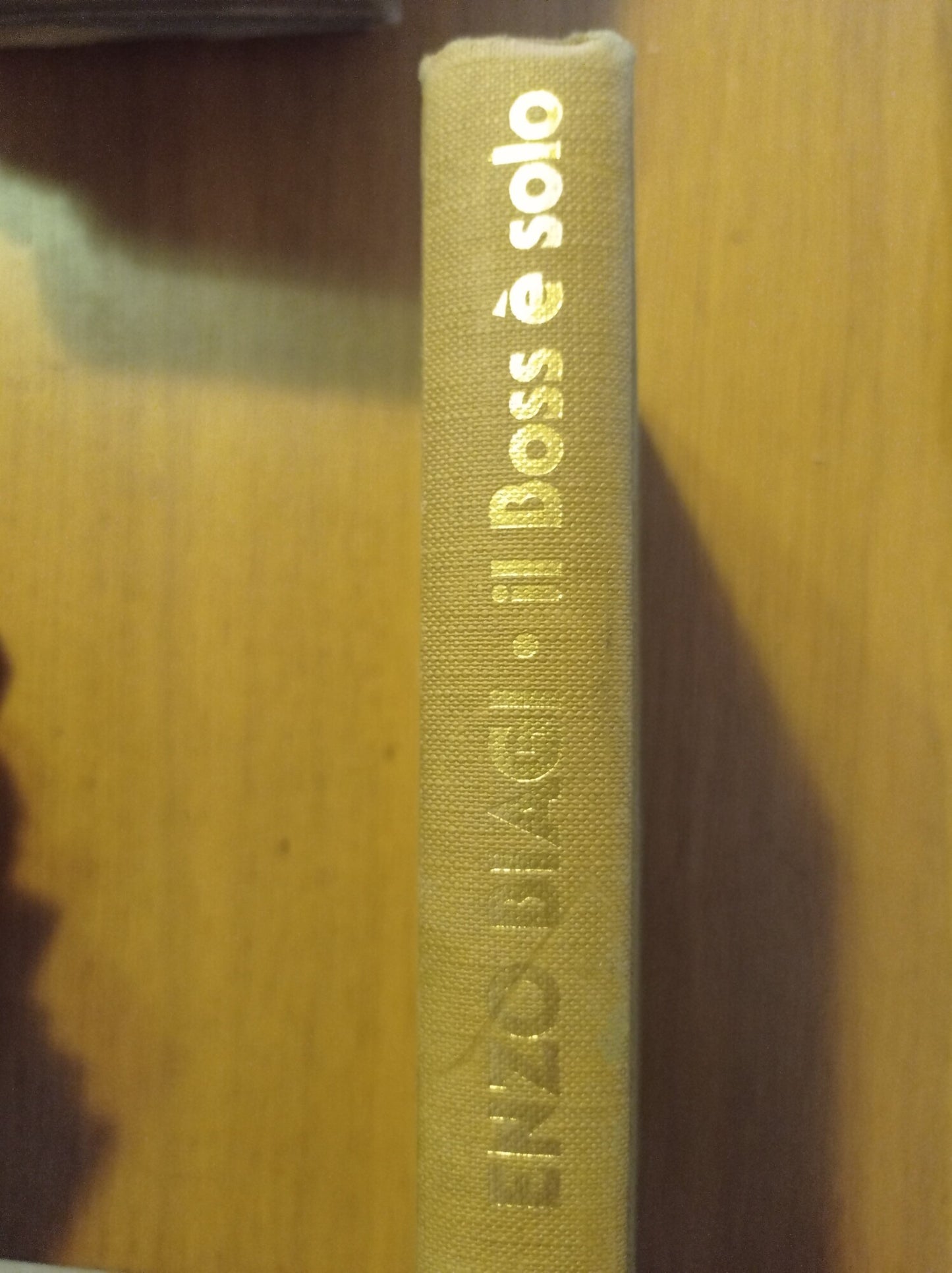 Il boss è solo - copertina