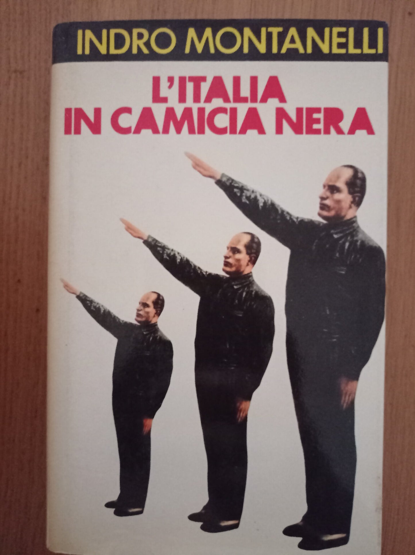 L' Italia in camicia nera - copertina