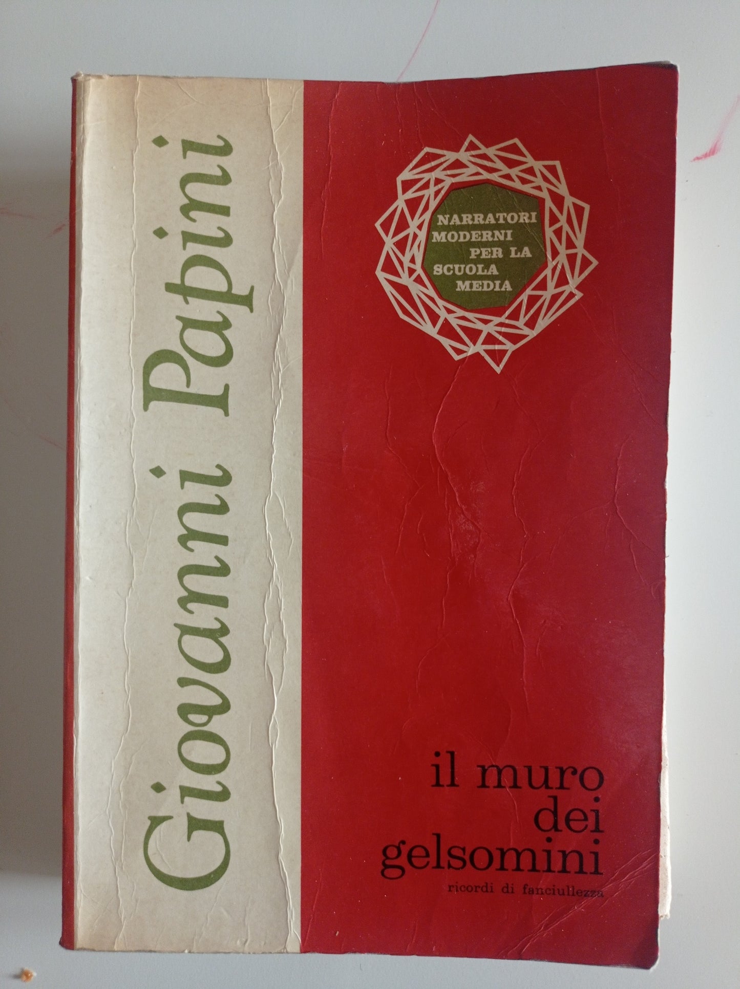 Il muro dei gelsomini ricordi di fanciullezza - copertina