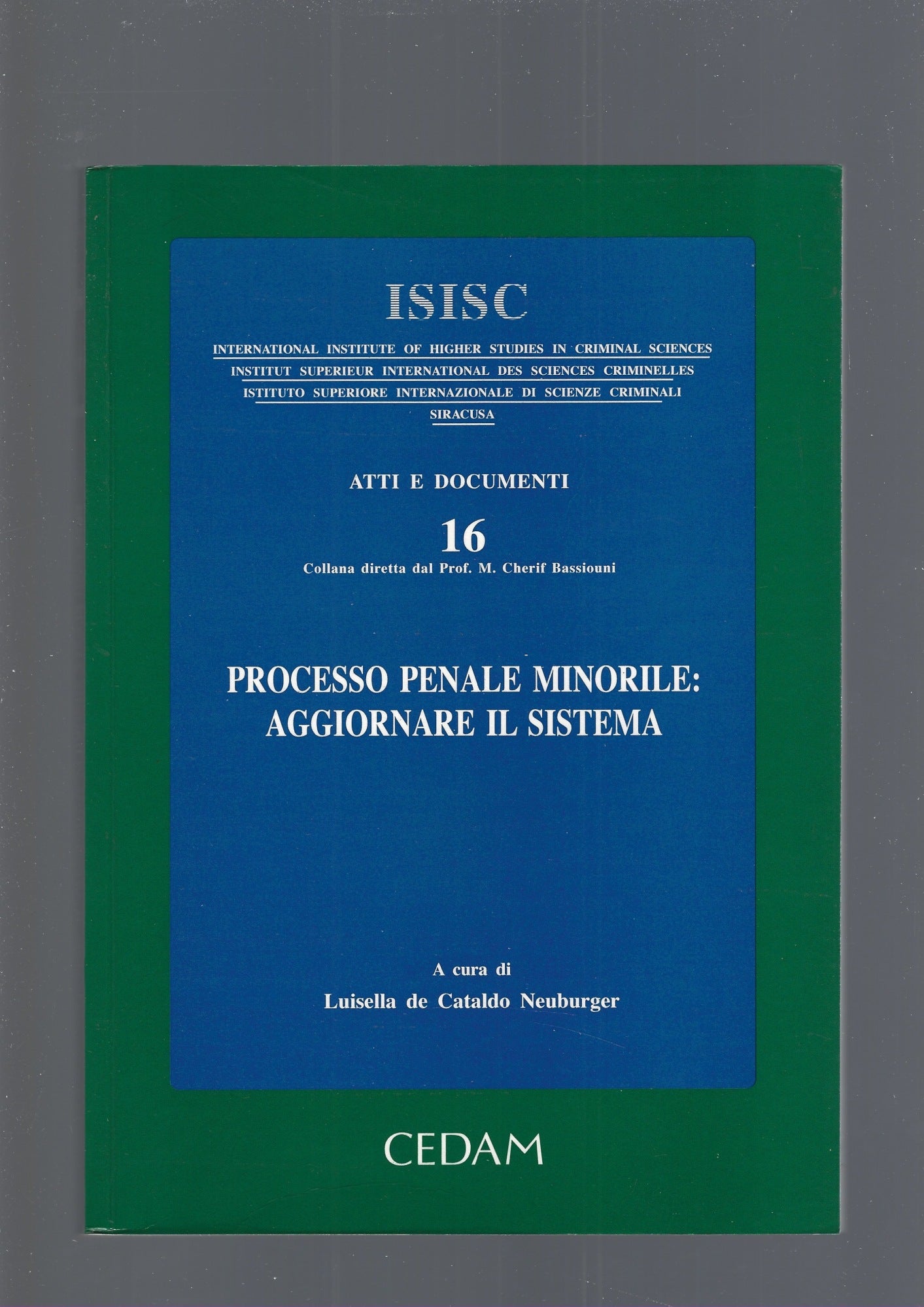 PROCESSO PENALE MINORILE: AGGIORNARE IL SISTEMA - copertina