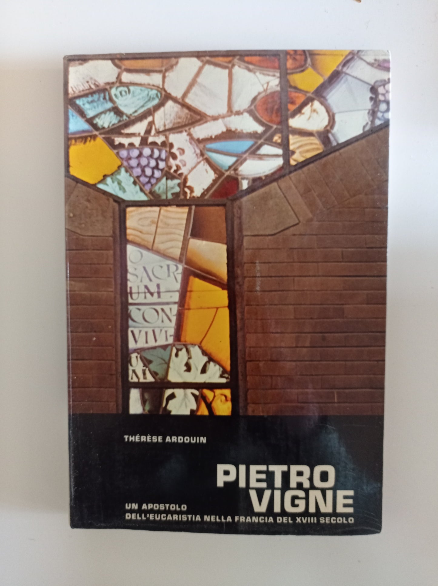 Pietro Vigne - copertina