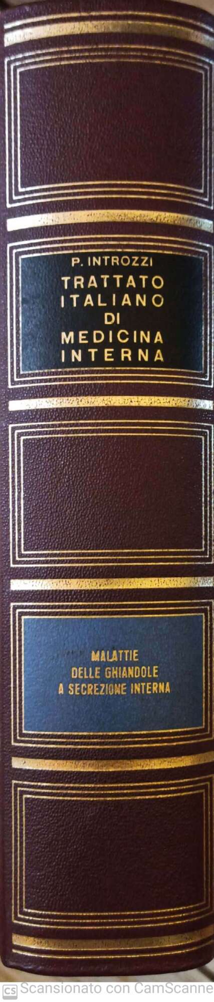 Trattato di medicina interna. Parte ottava. Malattie delle ghiandole a secrezione interna - copertina