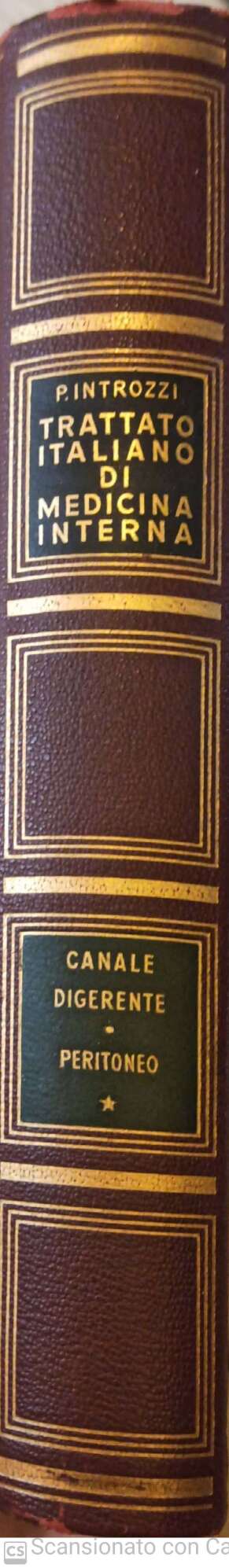 Trattato di medicina interna. Parte prima. Malattie del canale digerente e del peritoneo - copertina