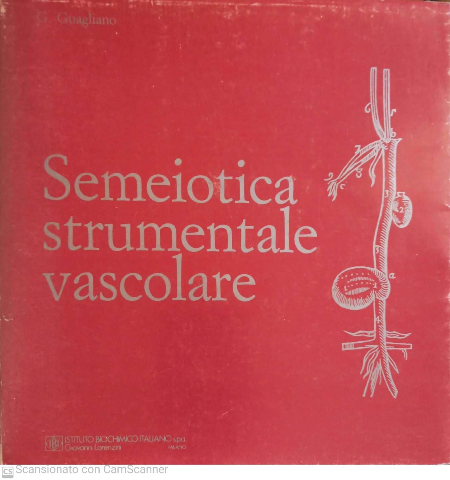 Semeiotica strumentale vascolare - copertina