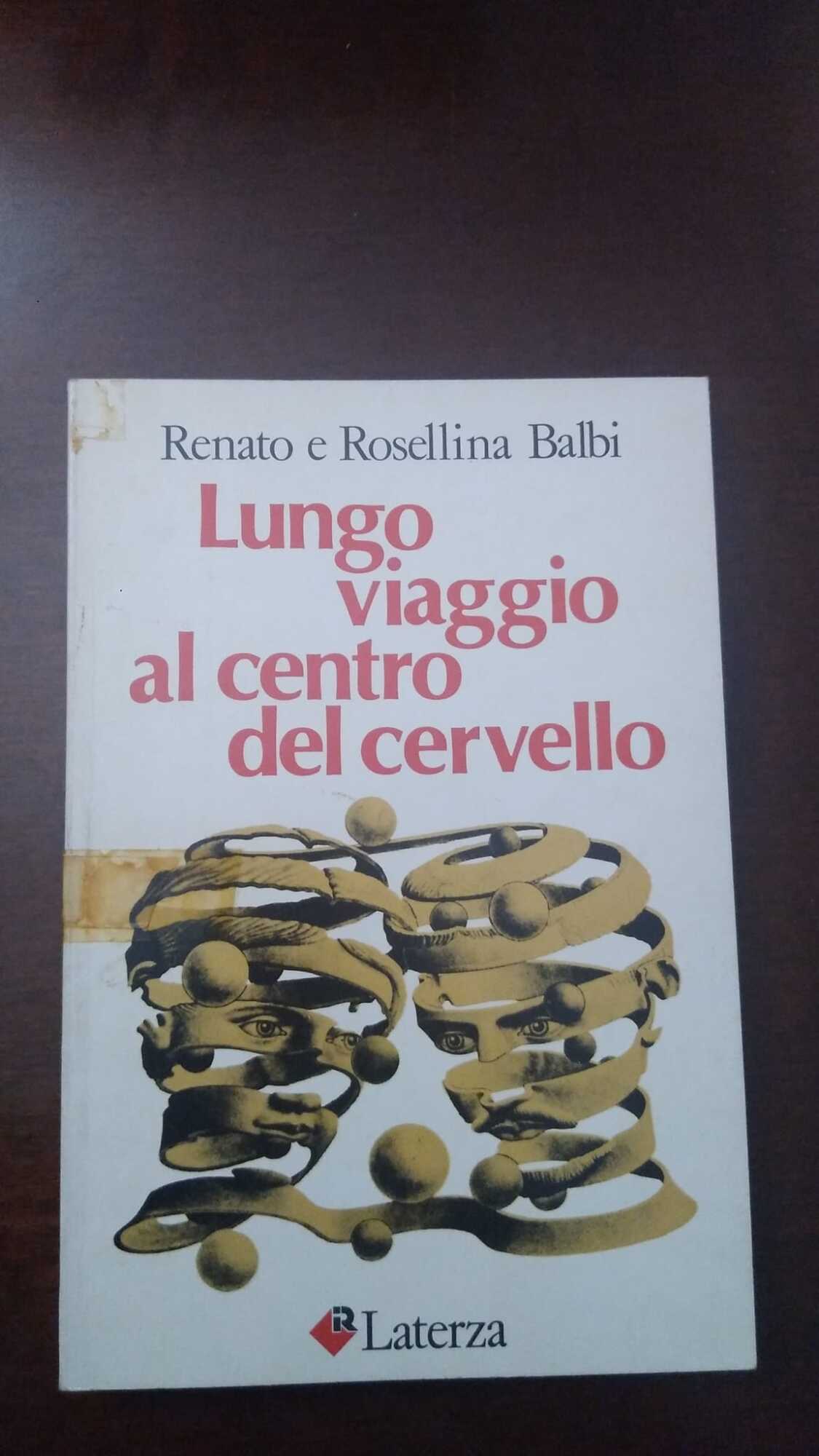 Lungo viaggio al centro del cervello - copertina