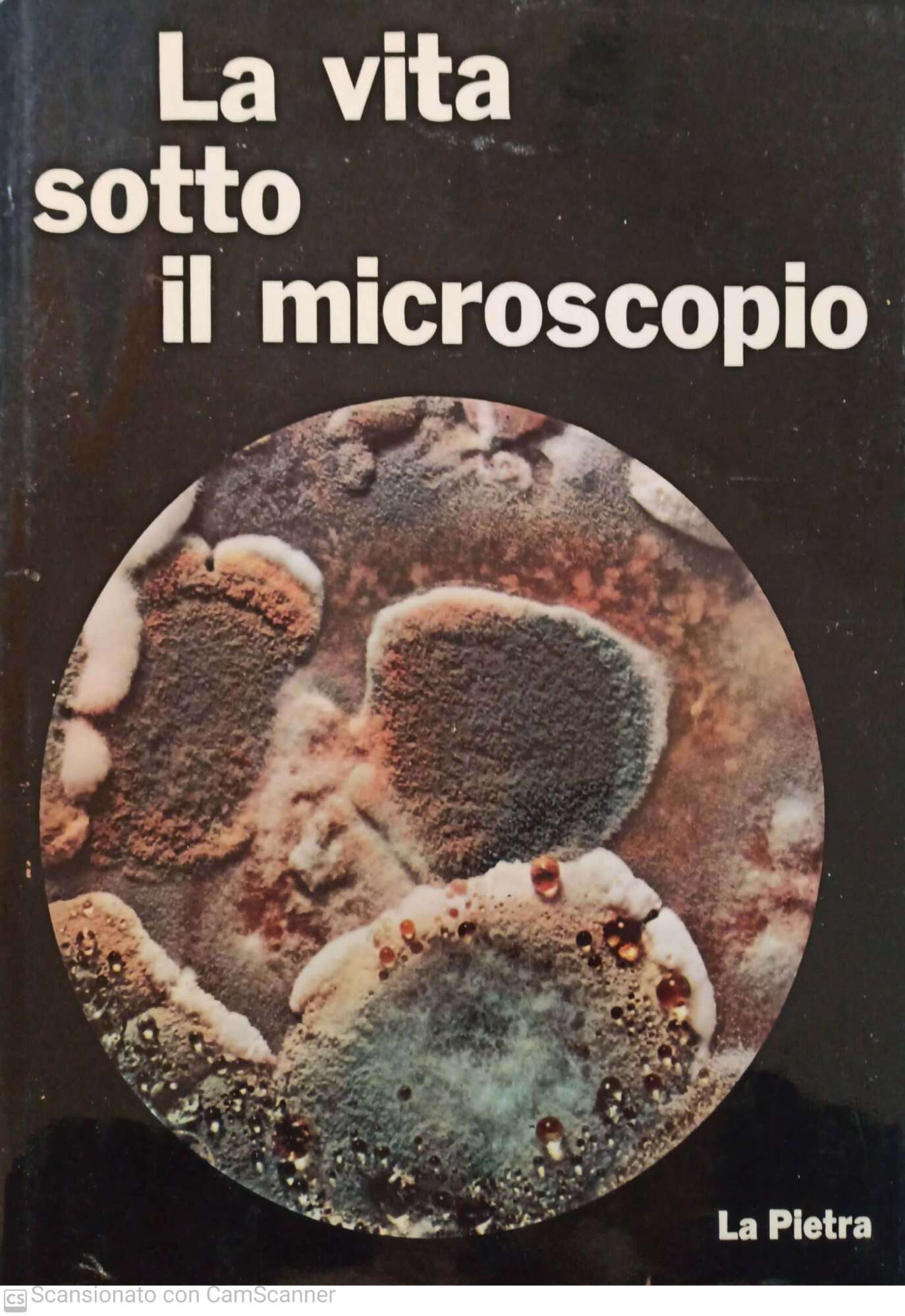 La vita sotto il microscopio - copertina